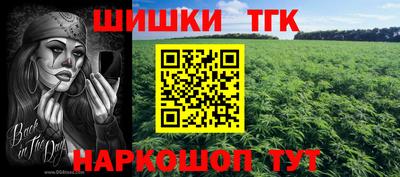 СК Гусь-Хрустальный