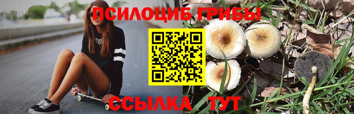 Псилоцибиновые грибы мухоморы Долгопрудный