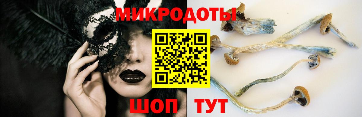 Псилоцибиновые грибы MAGIC MUSHROOMS  купить наркотики цена  Долгопрудный  Вход с VPN  Галлюциногенные грибы Psilocybine cubensis 